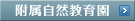�������R���牀