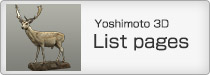 Yoshimoto 3D