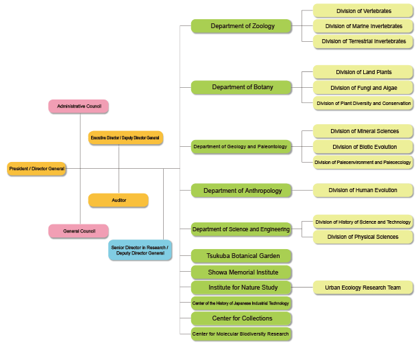 The National Museum of Nature and Science Research-related Organization Chart
