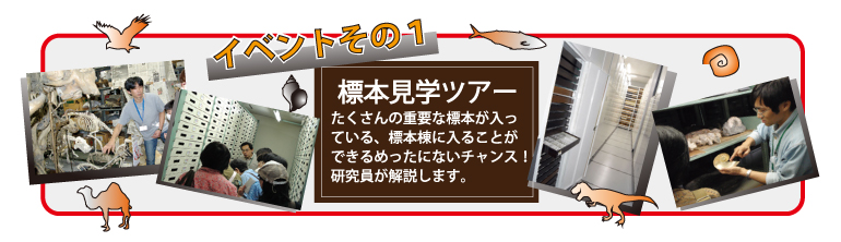 イベントその1 標本見学ツアー たくさんの重要な標本が入っている、標本棟に入ることができるめったいにないチャンス!研究員が解説します。