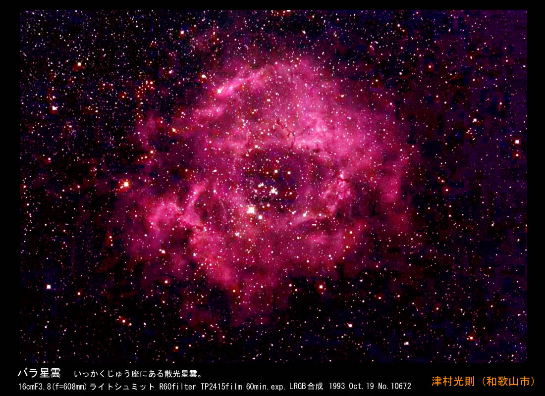 写真：いっかくじゅう座のバラ星雲