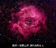 写真：いっかくじゅう座のバラ星雲