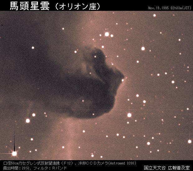 写真：オリオン座の馬頭星雲