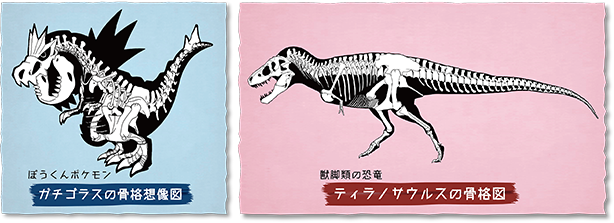 ガチゴラスの骨格想像図とティラノサウルスの骨格図