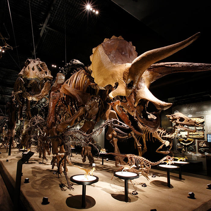 御船町恐竜博物館
