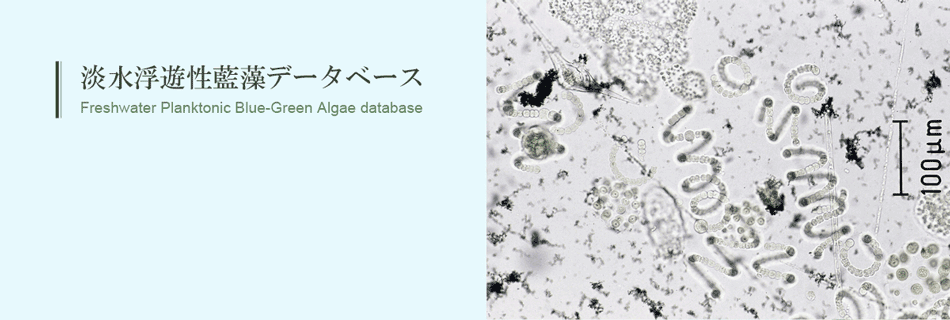 淡水浮遊性藍藻データベース Freshwater Planktonic Blue-Green Algae Database