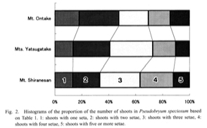 ムツデチョウチンゴケのポリセティの解析（Higuchi 1997）