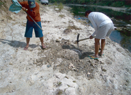 フィリピン・ルソン島北部の河原でサンゴ化石を発掘