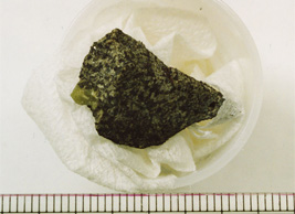 マグマから固まってできた隕石（アングライト）