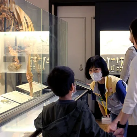 かはくボランティア1