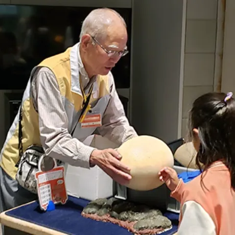 かはくボランティア3