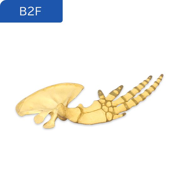地B2