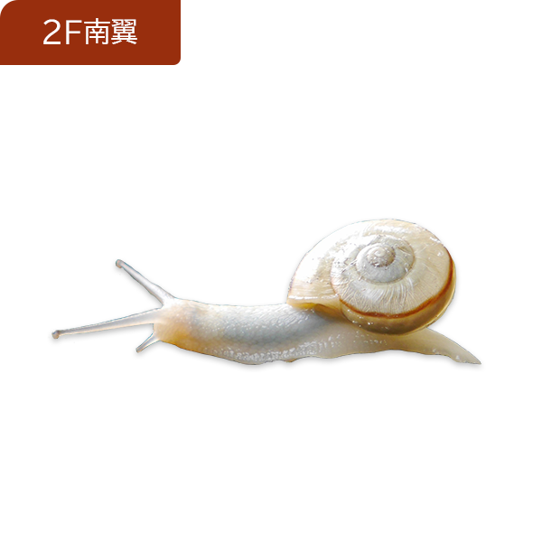 日③