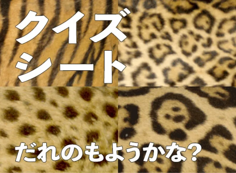 いきものクイズシート