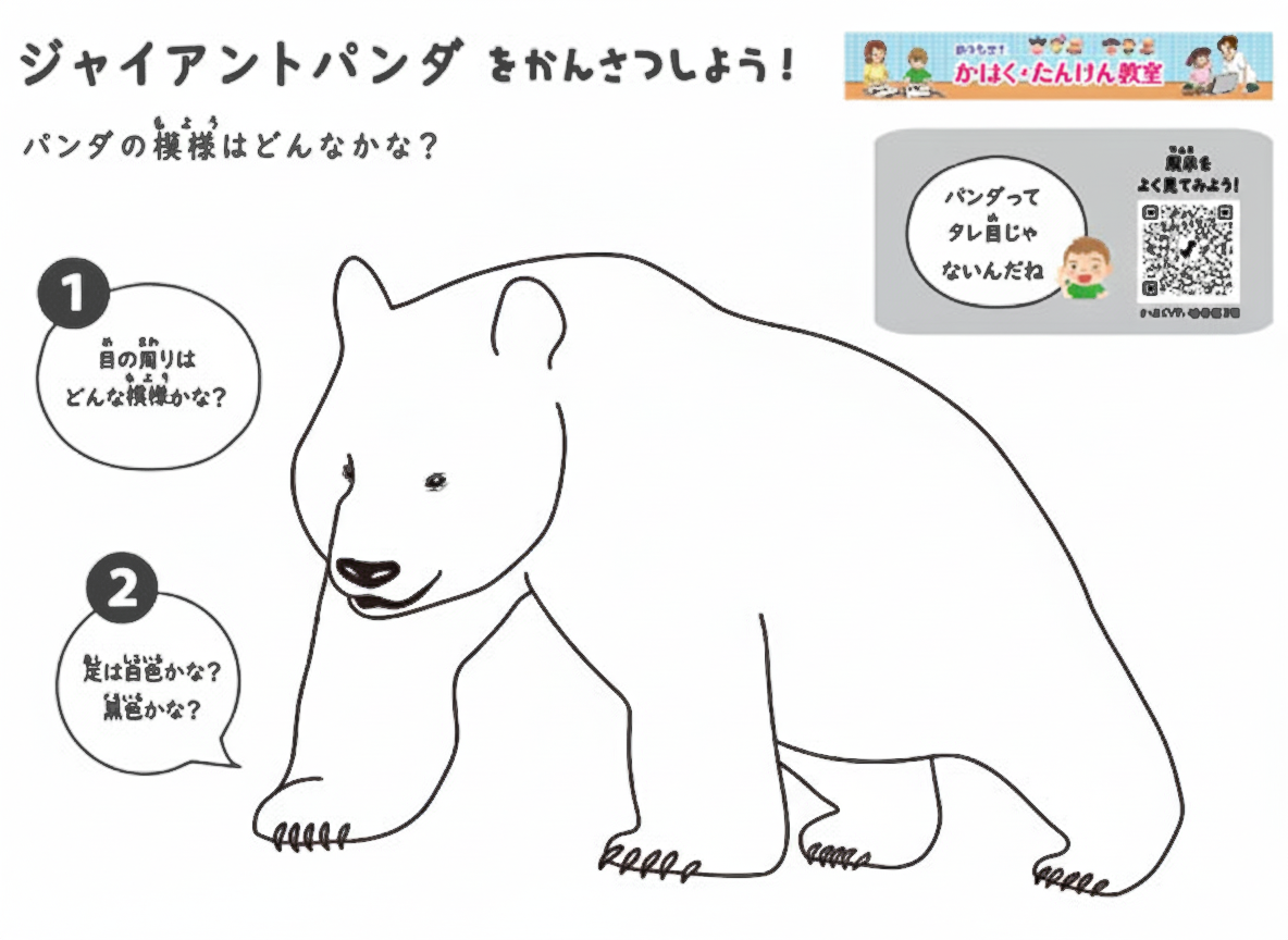 ジャイアントパンダぬりえ