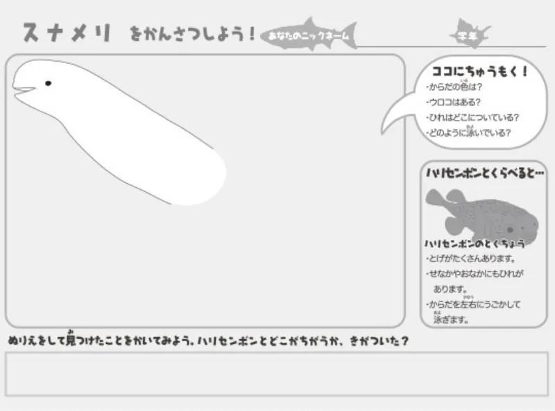 スナメリのぬりえ（ぬりえプラス）
