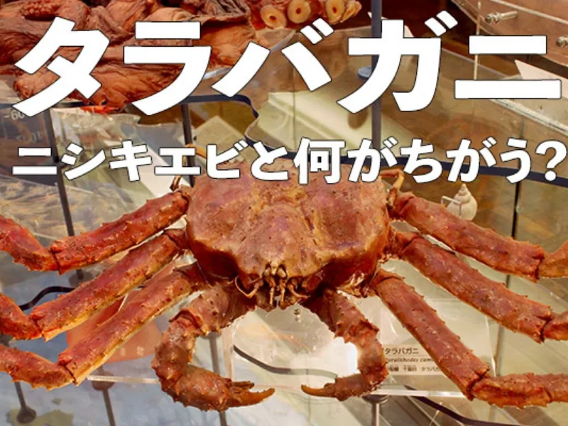 タラバガニ