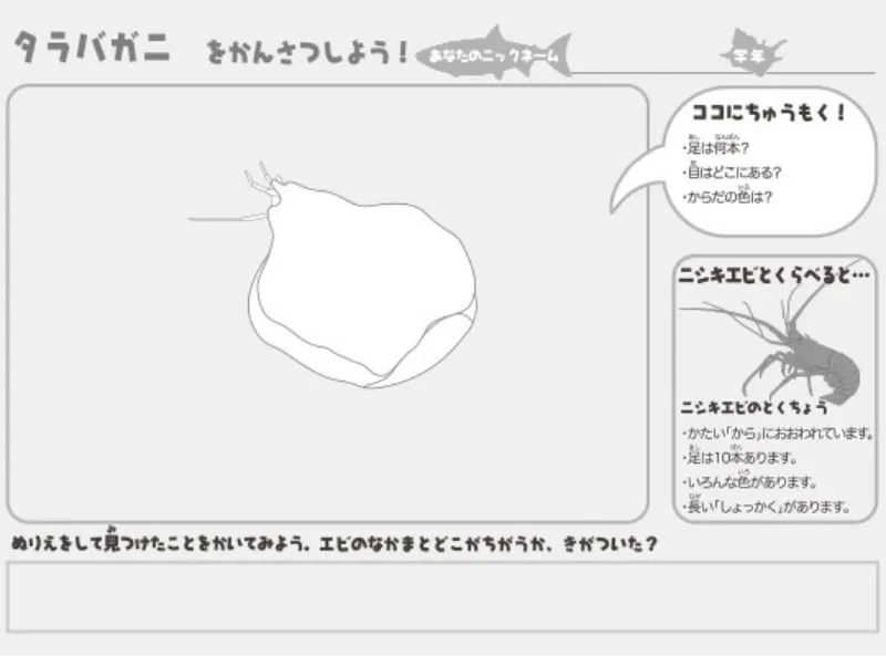 タラバガニのぬりえ（ぬりえプラス）