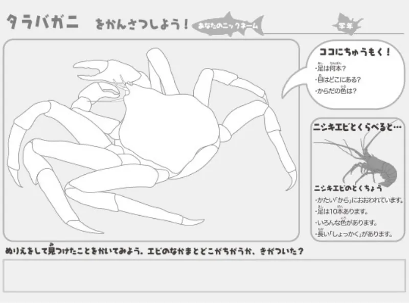 タラバガニのぬりえ