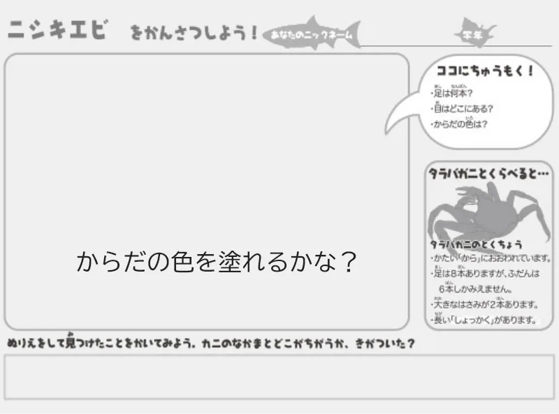 ニシキエビのぬりえ（えをかこう）