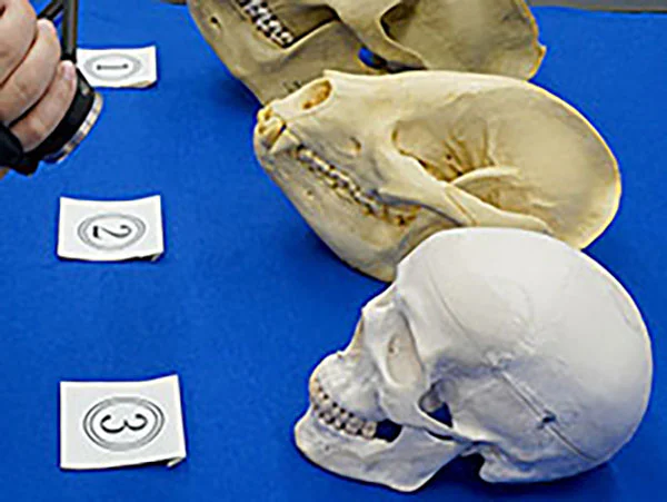 骨ほねウォッチング【オンライン型】