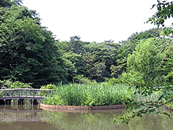 生態系のバランス【オンライン型】