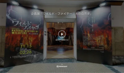 企画展「ワイルド・ファイヤー：火の自然史」