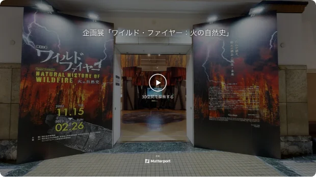 企画展「ワイルド・ファイヤー：火の自然史」
