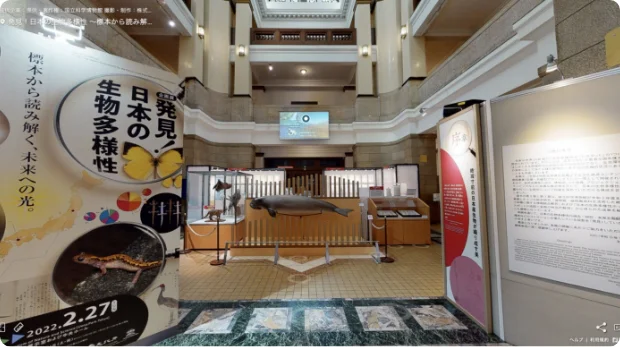 企画展「発見！日本の生物多様性　～標本から読み解く、未来への光～」