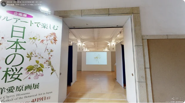 企画展「ボタニカルアートで楽しむ日本の桜　－太田洋愛原画展－」のVR映像
