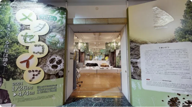 企画展「メタセコイア　－生きている化石は語る」