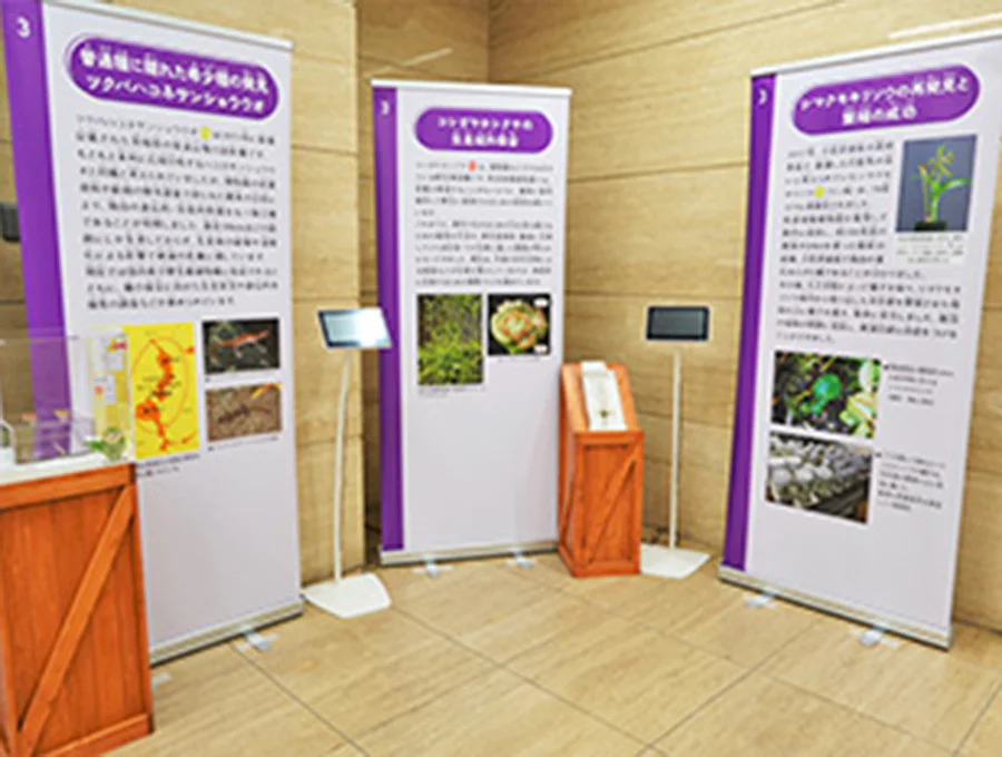 博物館が支える日本の生物多様性の保全2