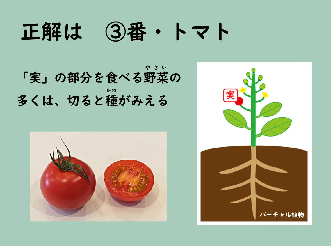 正解は③番トマト