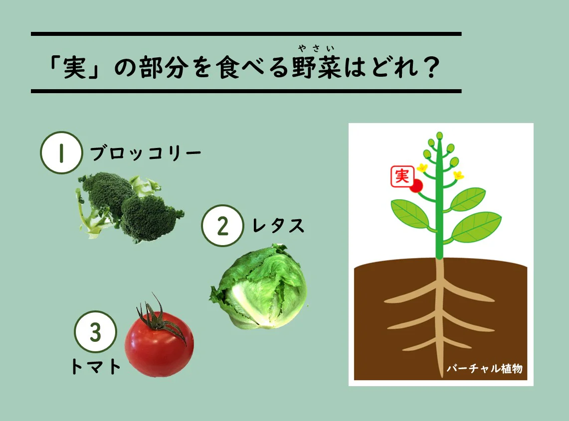 「実」の部分を食べる野菜はどれ
