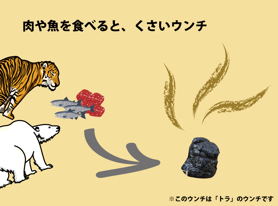 【観察】ウン、コれは知りたい！ウンチく話-みてみよう⑧