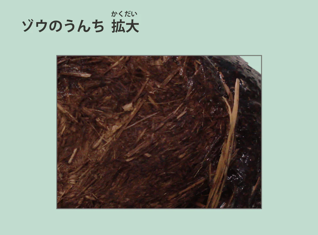 【観察】ウン、コれは知りたい！ウンチく話-みてみよう⑦