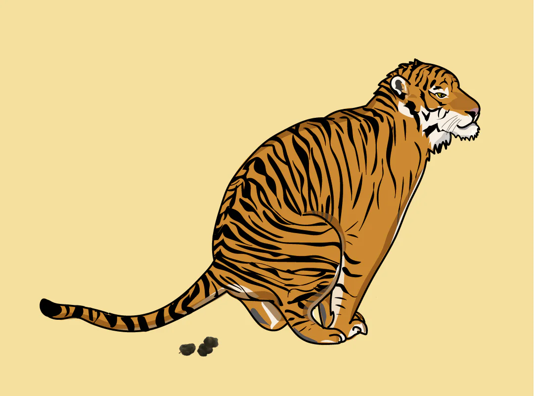 【観察】ウン、コれは知りたい！ウンチく話-みてみよう①