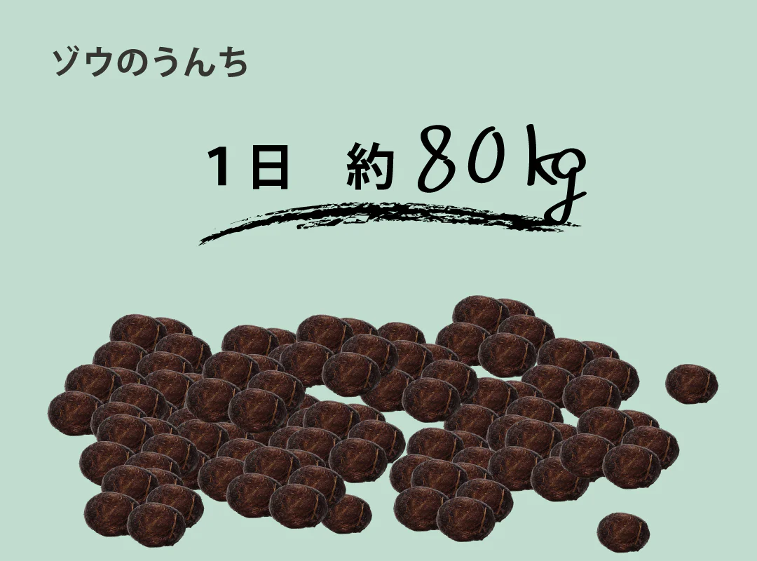 【観察】ウン、コれは知りたい！ウンチく話-みてみよう⑥