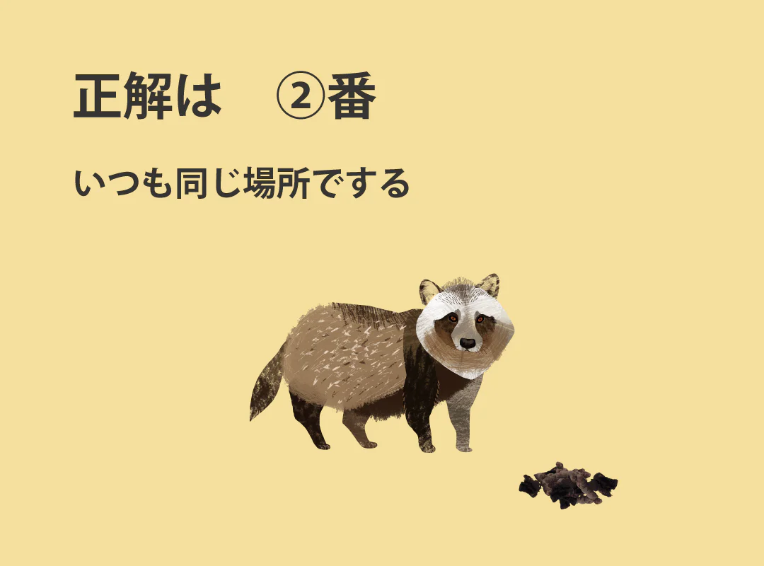 【観察】ウン、コれは知りたい!ウンチく話-かんがえてみよう1⑩