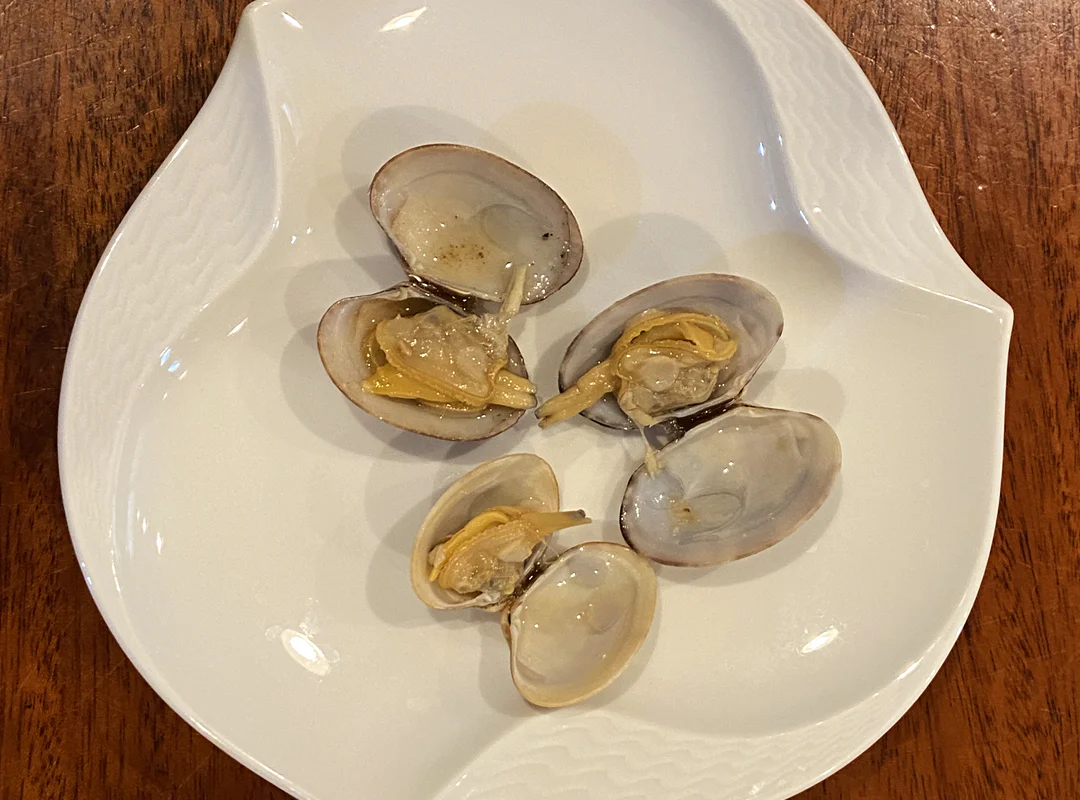 【観察】海のおいしい豆ちしき―アサリ―やってみよう⑩