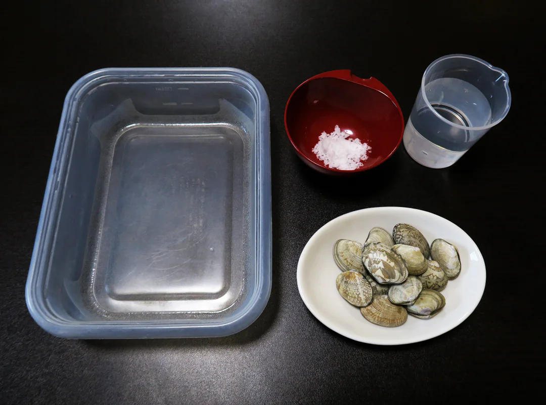 【観察】海のおいしい豆ちしき―アサリ―やってみよう②