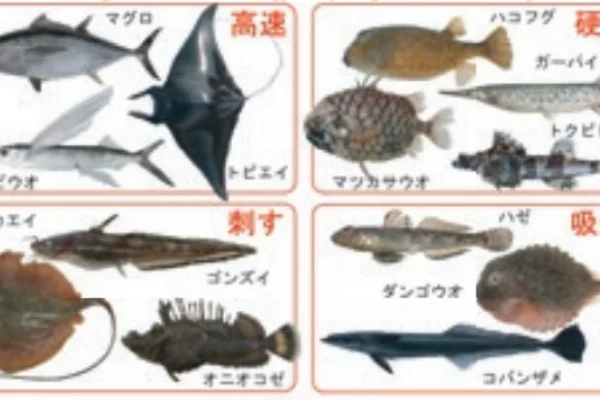 新素材開発のヒントを与えてくれる魚