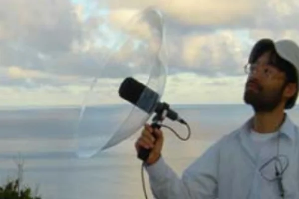 小笠原諸島母島にて鳥の声を録音