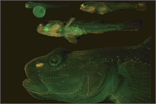 スクリーンショット 2025-07-10 110925