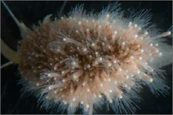 NoPath - コピー (28)