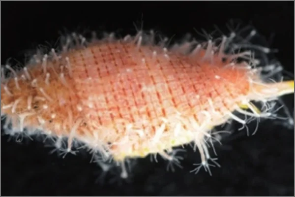 スクリーンショット 2025-07-10 122618