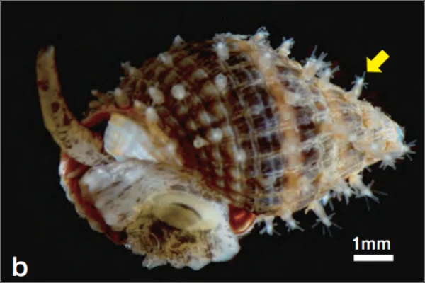 スクリーンショット 2025-07-10 122653