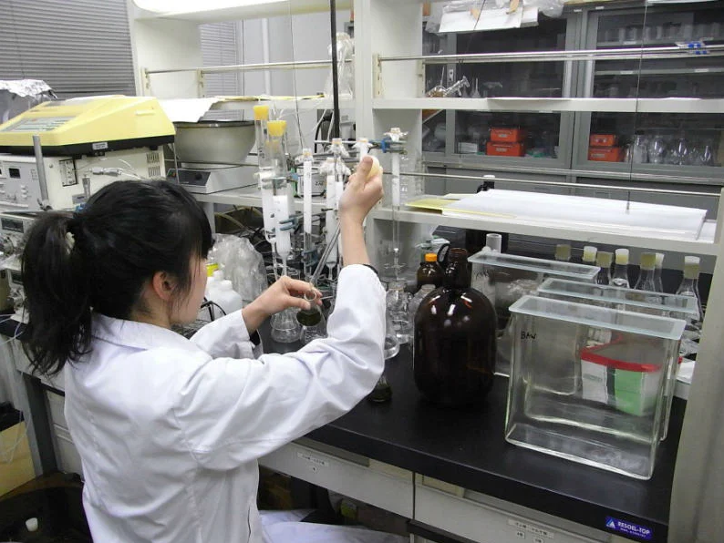 特別研究員(日本学術振興会)