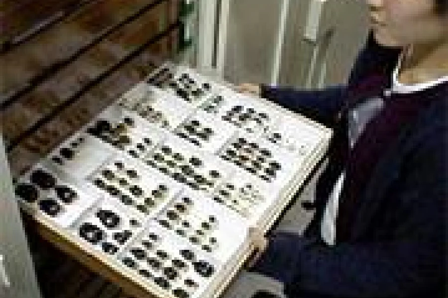 陸生無脊椎動物研究グループ