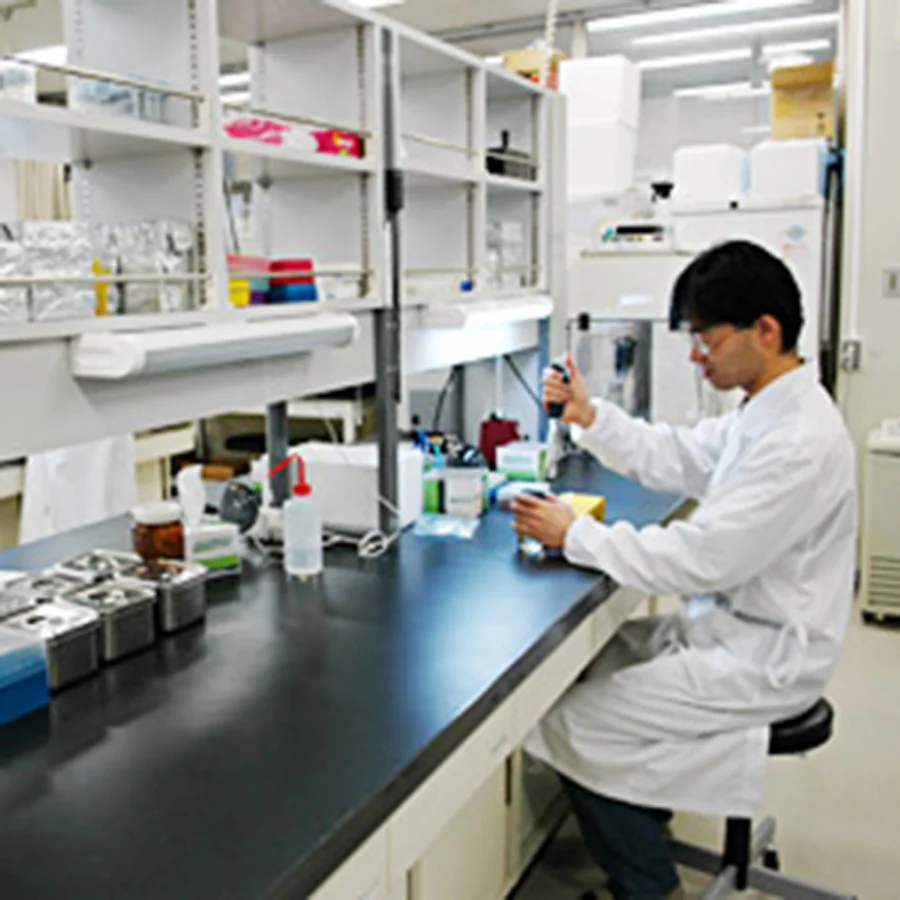 DNA研究環境の整備